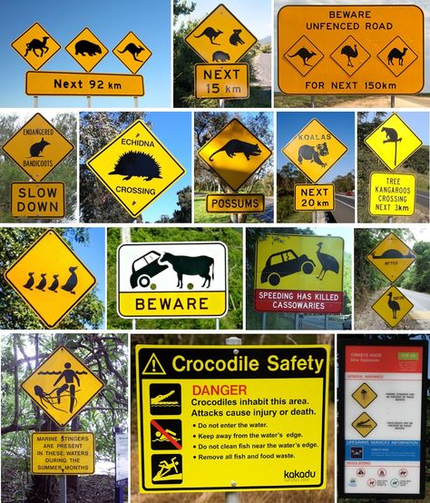 Australian Signs - various Australian Party Decorations, Australian Road Signs, Australia Party, Australian Party, Anne Stokes Art, Aussie Memes, Meanwhile In Australia, Australia Funny, Deadly Animals