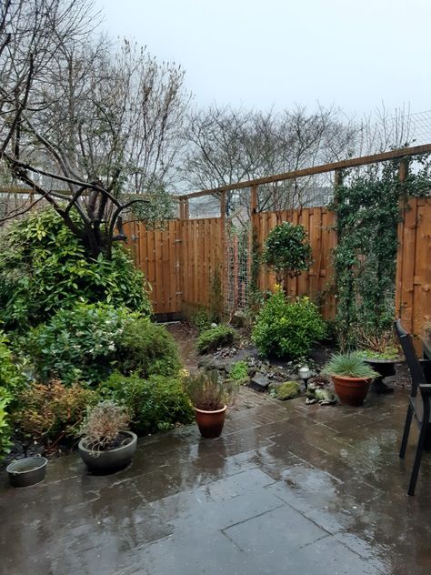 Rainy Backyard, Rainy Days, Patio, Outdoor Decor, Plants, Patios