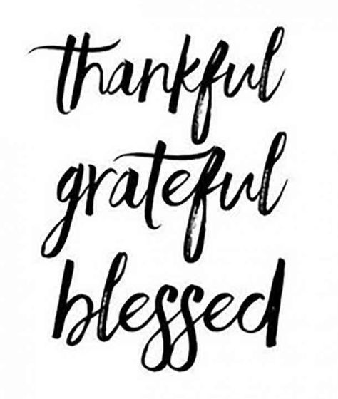 "Thankful, grateful, blessed." — Unknown  #thanksgiving #thanksgivingquotes #gratitudequotes #gratitude #thanks #thankfulquotes Follow us on Pinterest: www.pinterest.com/yourtango Free Fall Printables, Thankful Quotes, Fall Printables, Grateful Thankful Blessed, Im Grateful, Pep Talks, Gratitude Quotes, Quotes About Moving On, Quotes About Strength