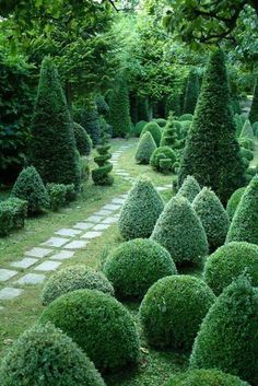 Geometric Trees, Topiary Garden, Formal Garden, Have Inspiration, The Secret Garden, Formal Gardens, Enchanted Garden, Gorgeous Gardens, Green Garden