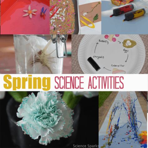 Key Stage 1 Science – Science Experiments for Kids Spring Science Experiments, Spring Science Activities, Science Activities For Toddlers, Elementary Science Experiments, Science Experiments Kids Preschool, Science Experiments Kids Elementary, Science Art Projects, Spring Science, Toddler Science Experiments