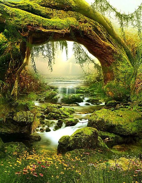 Nature Wonder on Twitter: "#naturelovers https://t.co/ImjLoDlm2q" / Twitter Tapestry Living Room, Landscape Tapestry, Tapestry Nature, Forest Tapestry, Forest Background, Scenic Photos, Fantasy Forest, Fantasy Places, Forest Photography