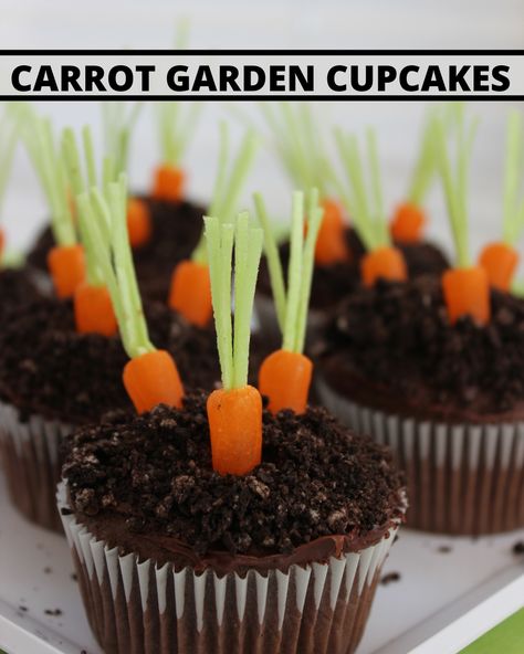 Welcome Spring with these adorable Carrot Garden Cupcakes! They're super easy to make and so fun to eat- kids will absolutely love them! They're made with chocolate cupcakes, crushed oreos, and candy carrots and are perfect for Easter Bunny inspired Easter cupcakes or any other Spring occasion. These are sure to be a hit with kids and adults alike! Cupcakes With Pudding, Pudding Filled Cupcakes, Candy Carrots, Easter Cupcake Ideas, Carrot Garden, Easter Cupcakes Easy, Carrot Craft, Garden Cupcakes, Candied Carrots