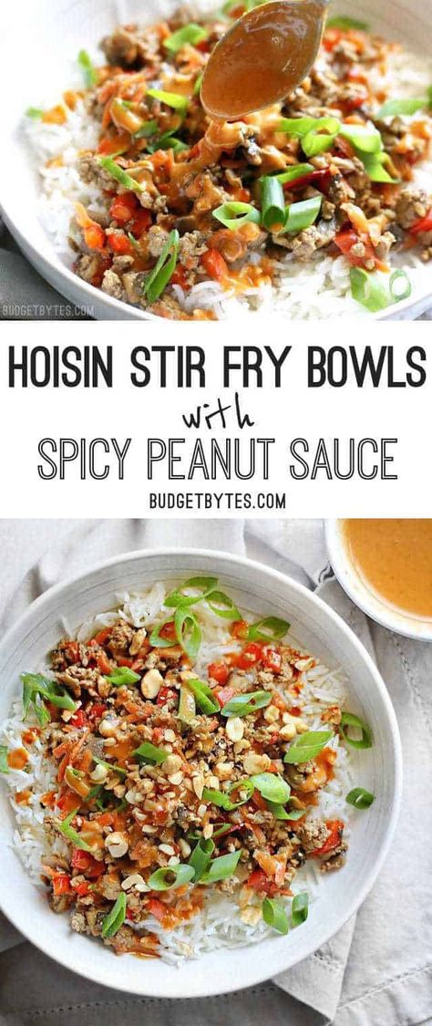 Hoisin Stir Fry, Frying Recipes, Healthy Stir Fry, Spicy Peanut Sauce, Pork Stir Fry, Budget Bytes, Spicy Peanuts, Meal Recipes, Hoisin Sauce