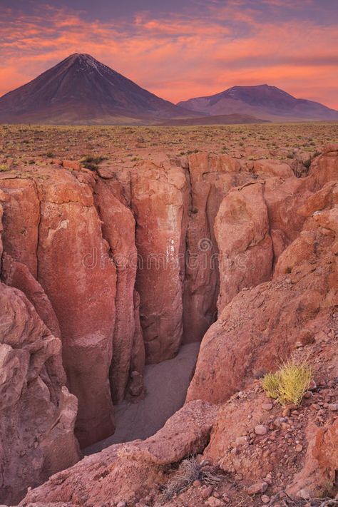 Chile Desert, Desert Dnd, Rocky Desert, Cold Desert, Atacama Desert Chile, Barbie Cowgirl, Desert Canyon, Natural Wonders Of The World, Cold Deserts