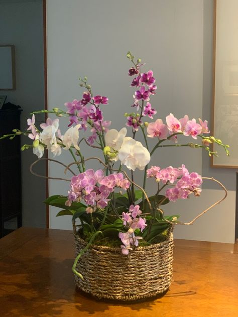 Pink Orchids Centerpiece, Orchid Interior Design, Orchid Interior, Orchid Flower Arrangements, Orchid Centerpieces, Flower Arrangement Designs, Growing Orchids, Orchids Garden, Orchid Arrangements