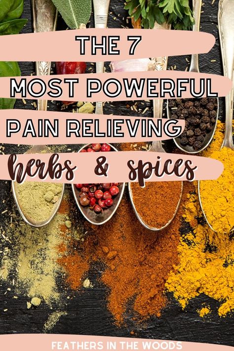 Natural pain relievers: using common herbs and spices Nature, Herbs For Headaches, Herbal Medicine Recipes, Herbal Remedies Recipes, Natural Pain Relievers, Cold Sores Remedies, Muscle Soreness, Tooth Pain, Natural Healing Remedies