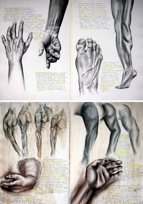 I like this figure drawing because of the massive amount of detail put into the hand and the foot at the top. I will aim to put this in my drawing. Drawings Of Hands, Kunstjournal Inspiration, Sketchbook Layout, Art Alevel, Gcse Art Sketchbook, A Level Art Sketchbook, Gcse Art, Arte Sketchbook, A Level Art