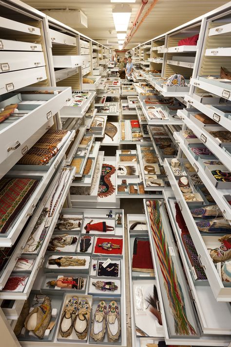 backroom-storage-at-the-smithsonian-natural-history-museum-designboom-02 Museum Storage, National Museum Of Natural History, Museum Curator, Things Organized Neatly, Museum Studies, Smithsonian Museum, Secret Storage, Colossal Art, Museum Displays