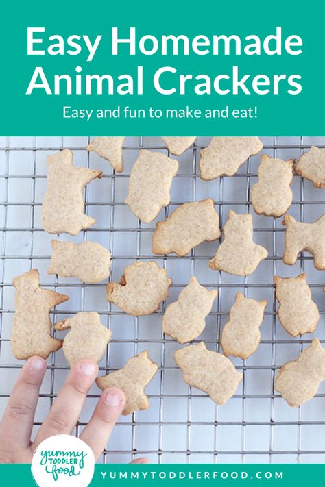 With just a few simple ingredients and a crazy easy method, this Animal Crackers recipe is a favorite kids snack to make and share. You can make them big or mini in whichever shapes you prefer! #toddlersnack #easysnack Animal Cracker Recipe, Homemade Animal Crackers, Homemade Toddler Snacks, Animal Crackers Recipe, Animal Cookies Recipe, Food For The Gods, Snack To Make, Cracker Recipe, Animal Cracker