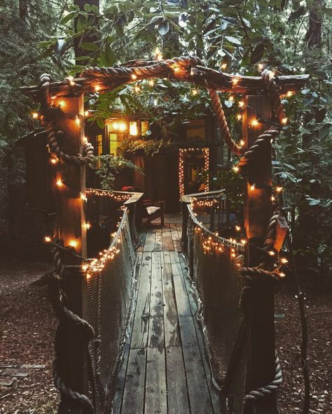 Treehouse Camping: 12 Places to Find Camping in the Branches Summer Camp Aesthetic Cabin Interior, Aesthetic Treehouse, Treehouse Glamping, Treehouse Camping, Treehouse Interior, Paradise House, Treehouse Point, Beautiful Tree Houses, How To Build A Log Cabin