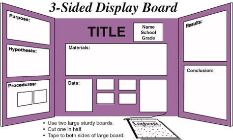 Poster Boards Ideas Project, Science Project Poster, Project Poster Board, Science Fair Board Layout, Science Fair Poster, Tri Fold Poster Board, 2nd Grade Science, Science Fair Board, Science Fair Projects Boards