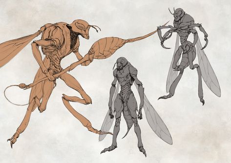 ArtStation - creature_04, Jihoon Park Moth Character Design, Moth Character, Jihoon Park, Park Ji Hoon, Oc Inspo, Alien Design, Alien Concept Art, Drawing Style, Alien Creatures