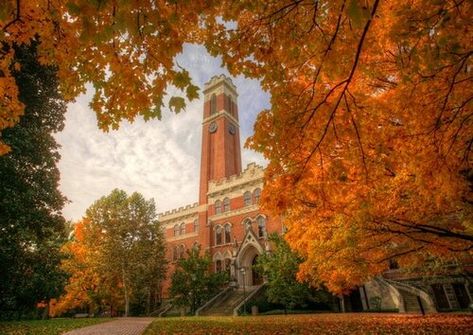 Best Universities, The Ivy League, Things To Do In Nashville, To Do In Nashville, College List, State Of Tennessee, Vanderbilt University, Dream College, Top Colleges