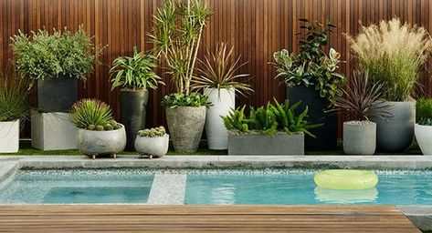 STYLE YOUR POOL DECK LIKE A PRO! Outdoor Landscape Design, Pool Plants, Stone Planters, Brick Exterior House, Backyard Pool Landscaping, Indoor Outdoor Planter, Garden Bed, Fence Design, Outdoor Landscaping