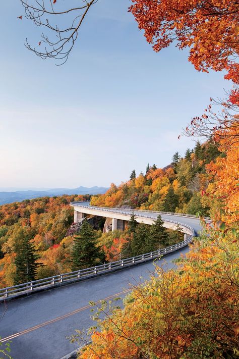 Fall Foliage Road Trips, Carolina Do Norte, Fall Road Trip, North Carolina Travel, Maputo, Shenandoah National Park, Appalachian Mountains, Asheville North Carolina, Blue Ridge Parkway