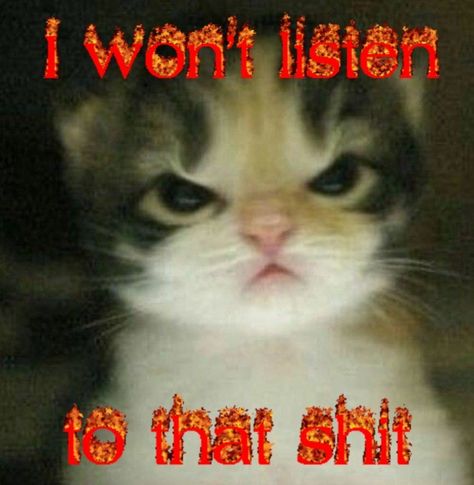 angry cat with the phrase "i won't listen to that shit" written Angry Cat Reaction Pics, Angry Cat Mood, Angry Reaction Pics, Angry Cat Memes, Angry Pictures, Angry Meme, Wrong Meme, Silly Cars, Cat Text