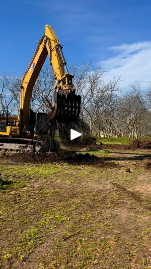 300K views · 8.4K reactions | Stump Removal Day! | Last week we showed you tree removal. . . today is stump removal! Join our Harvest Club today at www.juliasfruitstand.com | By Julia's Fruit Stand | Guys. Here's a video of the big
excavator pulling the stumps out so we'll be ready to plant
some beaches and tomatoes. Look at this thing. Just a couple
scoops and it pulls the whole stump out and then it shakes
off all the mud. Watch this. It's pretty cool. Here we go
and Nope. One more time. There it is and we get the stump out
and we're in shaky shaky. One, two, three, shaky, shaky,
shaky. So awesome. Stack em up in the
middle of the race when you push em out. Stump Out, Stump Removal, Fruit Stand, Tree Removal, Fruit Stands, One Two Three, Shake It Off, The Race, Pretty Cool