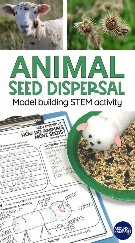 Seed dispersal experiment where kids build a model animal to show how seeds attach themselves to an animals fur and drop off in another location. Seed Learning Activities, 4h Stem Activities, Fun Agriculture Activities, Plant And Animal Life Cycles 3rd Grade, Stem Animals Activities, Enwc Seed Week, Seed Lessons For Kids, Seed Dispersal Project, Agriculture Stem Activities