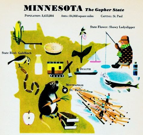 Minnesota Aesthetic, Aesthetics Moodboard, Vintage Minnesota, Before I Sleep, State Birds, Duluth Mn, Scenic Drive, Field Guide, Twin Cities