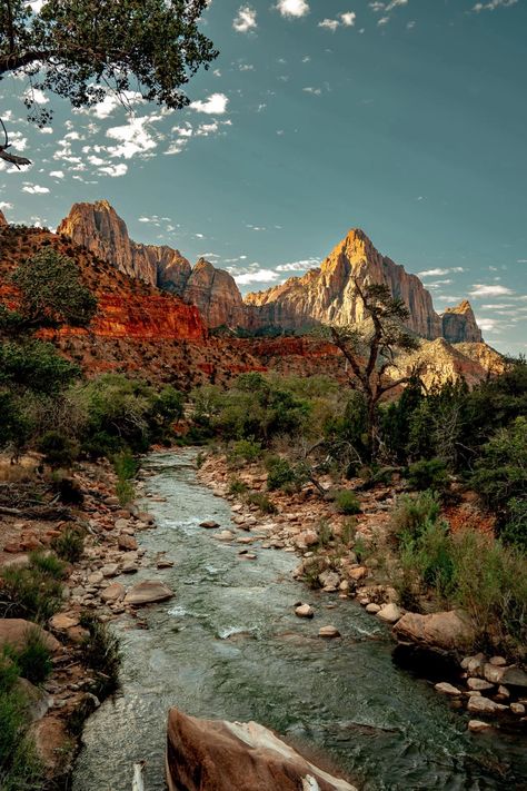 Zion's Majestic Landscape Utah Desert Landscapes, Arches National Park Aesthetic, Utah Scenery, Eden Utah, Losing Motivation, Zion National Park Photography, Utah Landscape, Zion Utah, Majestic Landscape