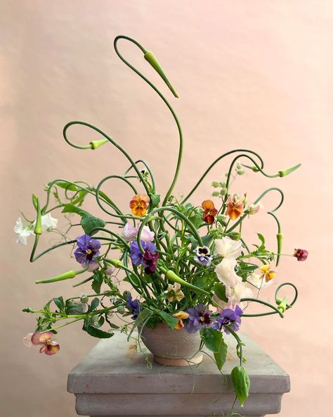 Anna Potter | Wiggly alliums, sweet peas and pansies. Weird Sunday dinner 〰️➰➿ #stillsunday | Instagram Pansy Flowers, Ring Bowl, Flower Therapy, Sweet Peas, Wedding Aesthetic, Sunday Dinner, Table Arrangements, Sweet Pea, Flower Arrangement