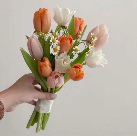 Tulip Bouquet Wedding, Small Wedding Bouquets, Wedding Flowers Tulips, Simple Wedding Bouquets, Christian Bride, Flower Boquet, Tulip Wedding, Spring Wedding Bouquets, Bridal Bouquet Flowers