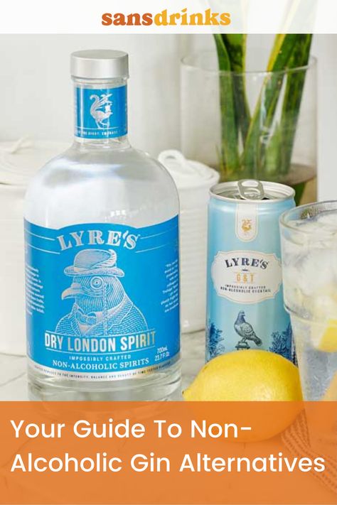 Thinking of switching to non-alcoholic gin and tonic? Here is a guide to help you out with a list of seven non-alcoholic gin alternatives that you can give a try. Non Alcoholic Gin, London Gin, Bitter Lemon, Gin Brands, The Last Five Years, Gin Recipes, Last Five Years, Best Alcohol, Craft Gin