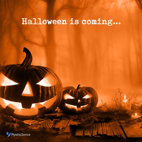 Month Quotes, Halloween Is Coming, Special Halloween, Halloween Poster, Halloween Quotes, Fall Halloween Decor, Halloween 2020, Halloween Pictures, Halloween Birthday