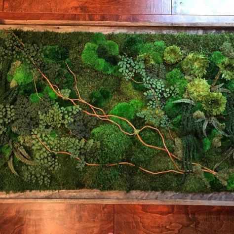 We create zero maintenance plant & moss by PlantedDesign on Etsy Mos Wand, Moss Decor, Moss Plant, Birch Branches, Moss Wall Art, Custom Wall Decor, Vertical Gardens, Moss Art, Preserved Moss