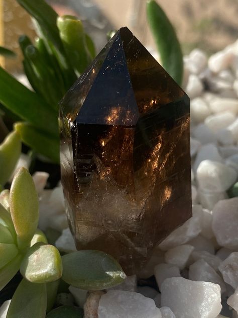 Switzerland Smokey Quartz Crystal  Amazing size and price for these piece such a remarkable piece for the collection Pretty Rocks, Zodiac Art, San Bernardino, Amethyst Cluster, Root Chakra, Smokey Quartz, Crystal Gems, Crystals Minerals, Minerals Crystals