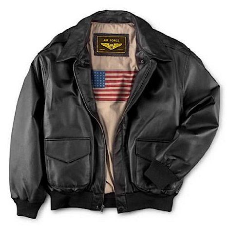 Airforce Jackets Men, Cool Leather Jackets Men, Mike Outfits, Aviation Jacket, A2 Flight Jacket, Visual Archive, Mens Leather Clothing, Clothes Reference, Aviator Jacket