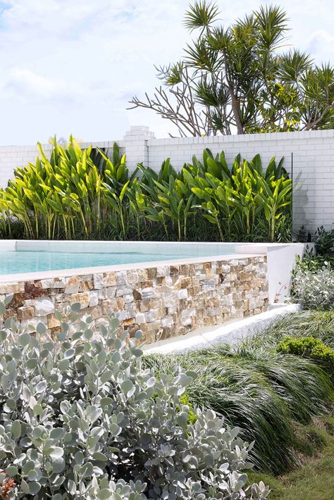 An expansive Gold Coast garden is transformed into a contemporary haven | Home Beautiful Pool Plants, Modern Patio Design, Narrow Garden, Pool Landscape Design, Landscaping Garden, Modern Pools, Patio Designs, Swimming Pools Backyard, Modern Patio