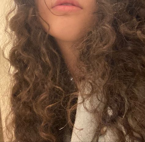 Frizzy Hair Aesthetic, Brown Curly Hair Aesthetic, Curly Brown Hair Aesthetic, Ola Core, Curly Hair Aesthetic Faceless, Caramel Girl Aesthetic, Curly Light Brown Hair, Brown Hair Aesthetic, Cleo Sertori