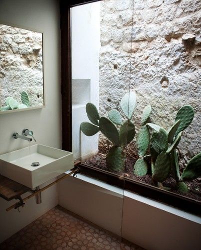 Bathroom cactus Modern Style Decor, Window Well, Basement Windows, Light Well, Rustic Bathrooms, Patio Interior, Design Hotel, Natural Home Decor, Interior Garden