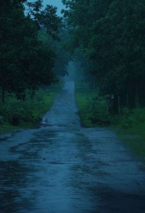 숲 사진, Dark Naturalism, Rain Aesthetic, Rainy Day Aesthetic, Heat Waves, Fotografi Digital, Dark Green Aesthetic, Day Aesthetic, Love Rain