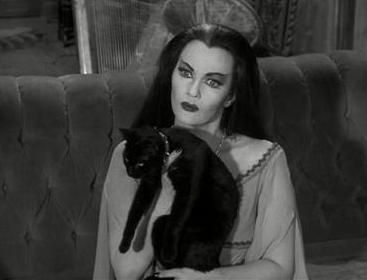 Lily & Kitty Famous Cats, Lily Munster, Yvonne De Carlo, Nine Lives, Hollywood Glam, Almost Famous, Do You Feel, Classic Hollywood, Black Cat