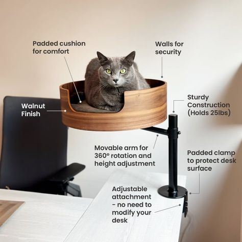 Movable Desk, House Moodboard, Shelf Coffee Table, Cat Patio, Cat House Diy, Cat Seat, Cute Small Animals, Cat Perch, Cat Cave