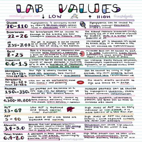 Lab Levels Nursing, Lab Values Nursing Cheat Sheets, Nursing School Lab Values, Nursing Lab Values Cheat Sheets, Simple Nursing Lab Values, Nursing School Organization, Nursing School Studying Cheat Sheets, Medical Assistant Student, Nursing School Inspiration