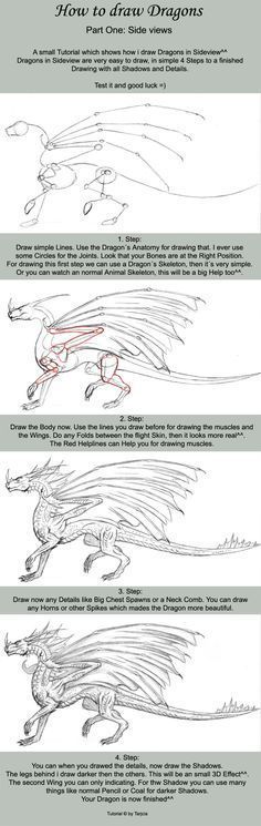 How To Draw Dragons, Small Easy Drawings, Drawing Dragons, Draw Wings, Ako Kresliť, Dragon Anatomy, Drawing Dragon, Dragon Base, Graphics Tablets