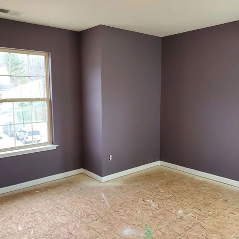 Sherwin Williams Exclusive Plum SW 6263 living room Pashmina Plum Paint Color, Dark Lilac Paint, Dusty Purple Wall Color, Deep Purple Wall Color, Plum Purple Room, Dark Grey Purple Paint, Plummy Sherwin Williams, Gentle Grape Sherwin Williams, Purple Accent Wall Bathroom