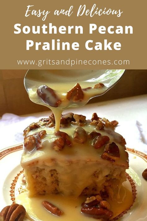 If you like pecans and pralines, if you like cake, and if you like EASY, you will love this delicious and decadent Southern Pecan Praline Cake recipe. Southern Pecan Praline Cake, Praline Frosting, Pecan Praline Cake, Condensed Milk Cake, Praline Cake, Bundt Recipes, Coconut Pecan Frosting, Pecan Praline, Butter Pecan Cake