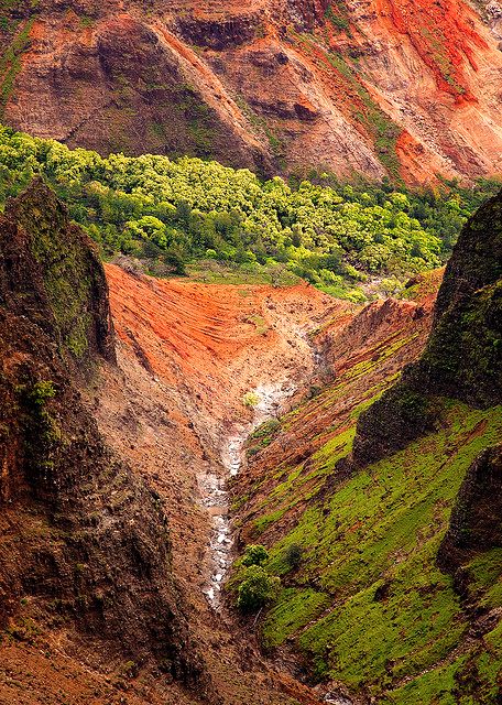 Vacations Pictures, Rock Culture, Beautiful Hawaii, Travel Hawaii, Waimea Canyon, Visit Usa, Aloha Spirit, Hawaiian Vacation, Hawaii Usa