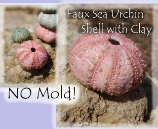 Sea Urchin Skeleton From Clay: Display or Jewelry Purposes : 10 Steps (with Pictures) - Instructables Clay Display, Boho Coastal Bedroom, Sea Urchin Shells, Lightning Bug, Sea Urchin Shell, Shells Diy, Sea Urchins, Bible School Crafts, Clay Crafts Air Dry