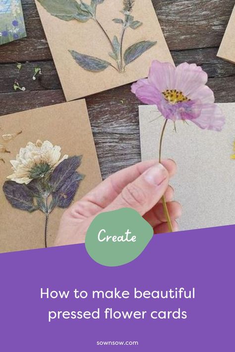 Making pressed flower cards is not only a wonderful way to give your fresh flowers a second life, but it’s also a special way to share the joy of your homegrown blooms with loved ones. Learn how to make pressed flower cards using our step-by-step guide. How To Glue Dried Flowers To Paper, Dried Flower Cards Diy, Pressed Flower Greeting Cards, Pressed Flowers Cards Diy, Pressed Flower Cards Handmade, Dried Flowers Cards Ideas, Dried Flower Cards Handmade, Dried Flower Art Diy, Pressed Flower Cards Diy