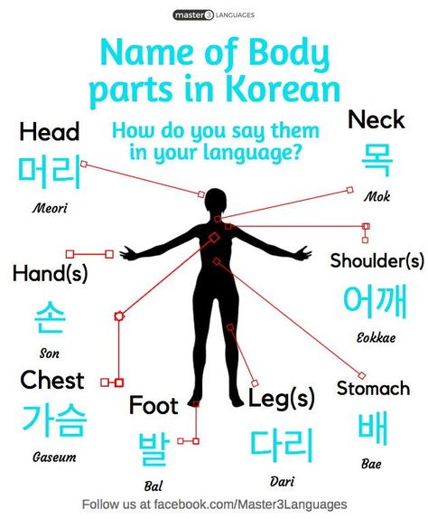 Body parts in Korean/Master 3 languages Learn Korean Fast, Korean Vocab, Korean Slang, Learn Basic Korean, Learn Korean Alphabet, Korean Vocabulary, Easy Korean Words, Learn Hangul, Learn Korea