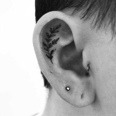 Fern Ear Tattoo Nature Ear Tattoo, Ear Tattoo Leaves, Plant Ear Tattoo, Fern Tattoo Simple, Fern Tattoo Behind Ear, Fern Ear Tattoo, Ear Leaf Tattoo, Small Tattoos Ear, Leaf Ear Tattoo