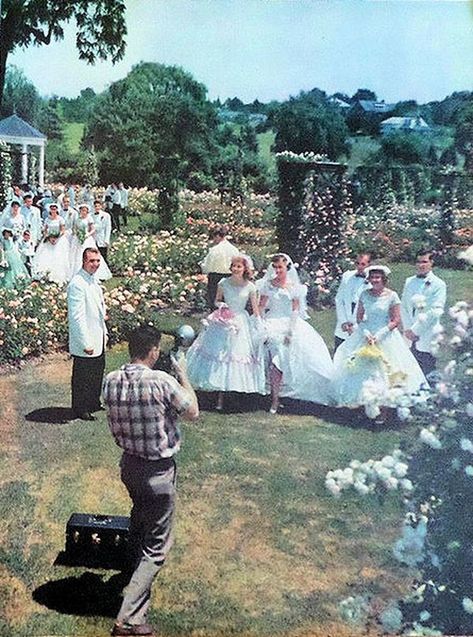 14. How beautiful! A wedding party takes photographs at the Rose Gardens in Allentown in 1955. 1950s Wedding Dresses, Heirloom Wedding Dress, Lace Top Wedding, Old Fashioned Wedding, Wedding Dress Illustrations, 1950s Wedding Dress, Floral Headdress, Daytime Wedding, 1950s Wedding