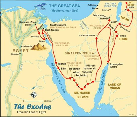 The Exodus From Egypt, Exodus Map, Biblical Maps, Exodus Bible, Bible Maps, Bible Genealogy, Bible Charts, Buick Wildcat, Egypt Map