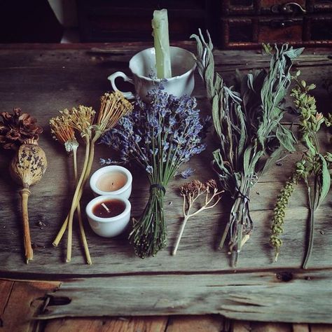 Herbal Amulets Green Apothecary, Logo Moodboard, Magia Das Ervas, Have Inspiration, Witch Aesthetic, Witchy Woman, Green Witch, Kitchen Witch, Witchy Vibes